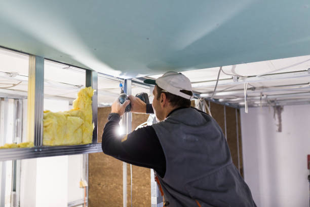 Best Crawl Space Insulation  in Norridge, IL