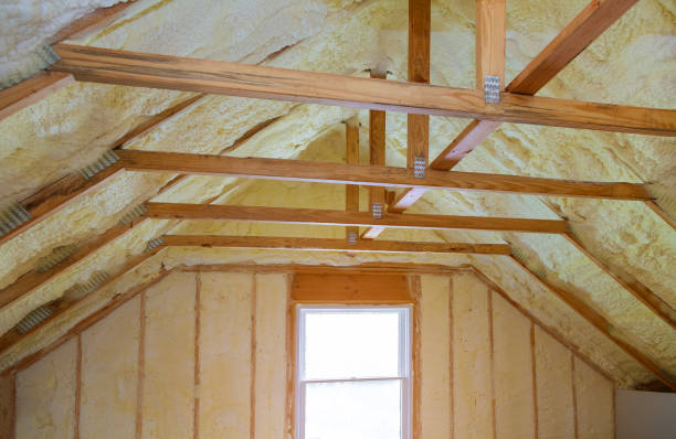 Best Attic Insulation Installation  in Norridge, IL